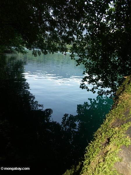 ブレッド湖の青緑色の海