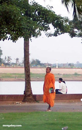 僧侶たちは、カンボジア