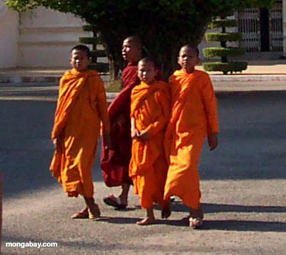 Монахи, королевский дворец