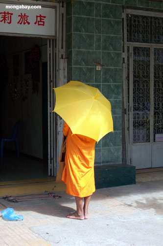 僧侶たちは、 phnom pehn