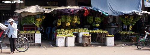 Mercado de Phnom Pehn