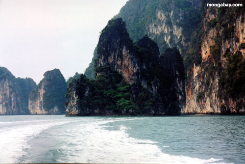 Limestone Formations