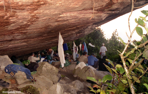 Camping d'Auyantepui (ou Auyan Tepui) sous un rocher géant