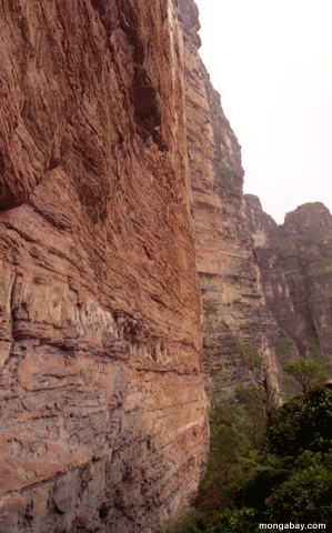 Auyantepui (o Auyan Tepui), montaña del diablo