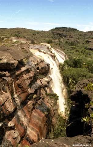 auyantepuiの頂上に内部の滝