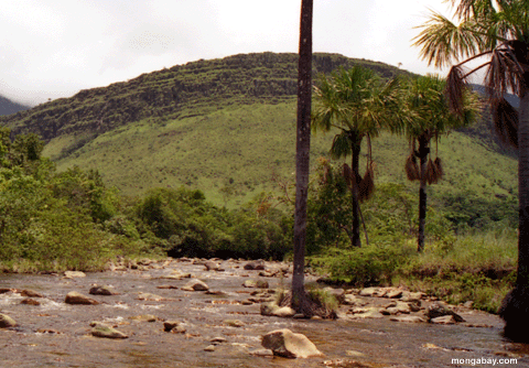 саванна Creek