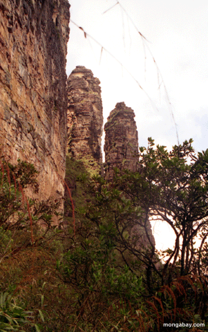 Torretas de Auyantepui