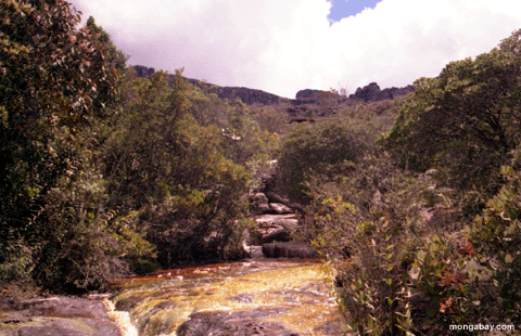 саммита tepui реке на саммите auyantepui