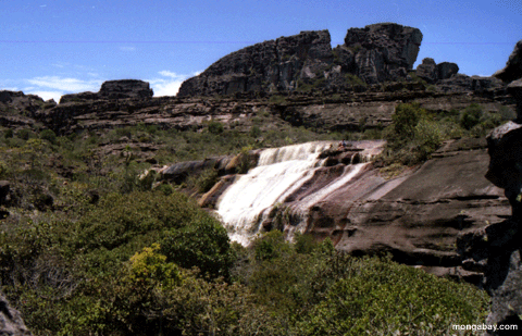 внутренний водопад на саммите auyantepui