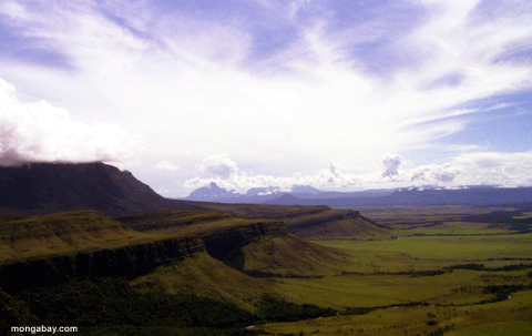 Tepui Profile Left, Venezuela