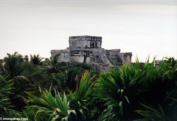  La città maya di Tulum. Foto di Rhett A. Butler. 