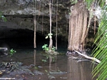 Cenote cave