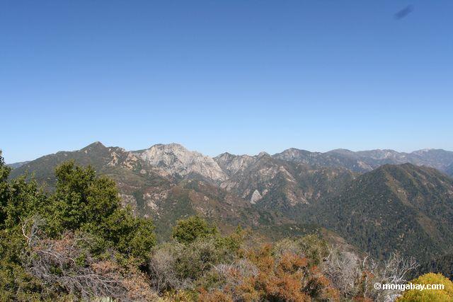 View east from atop Manuel Peak in Pfeiffer Big Sur State Park