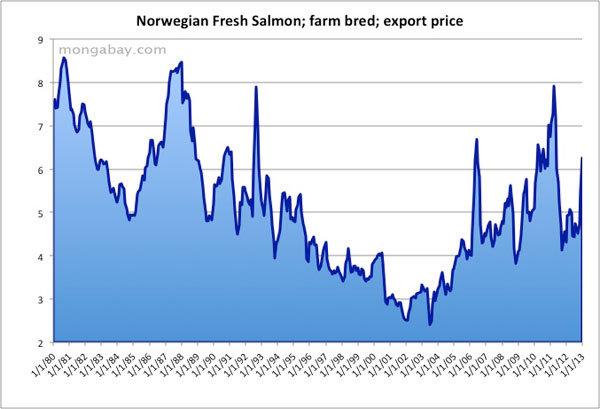 Salmon Price Chart