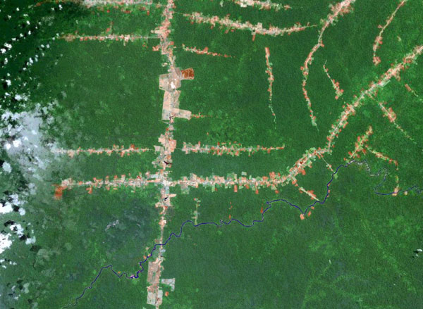 Roads radiating out from a highway in the Brazilian Amazon. Courtesy of NASA.