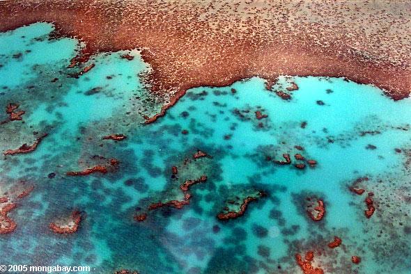 Aerial view of the Great Barrier Reef, Australia. Photo by: Rhett A. Butler.