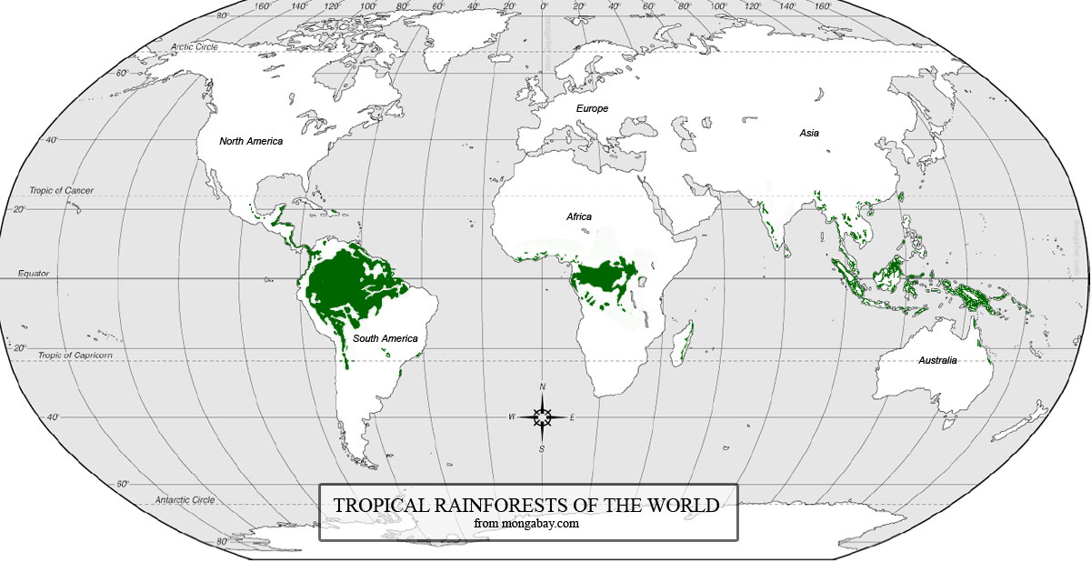 rainforest world map of the orchids